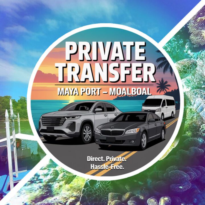 Private Transfer Maya Port to Moalboal