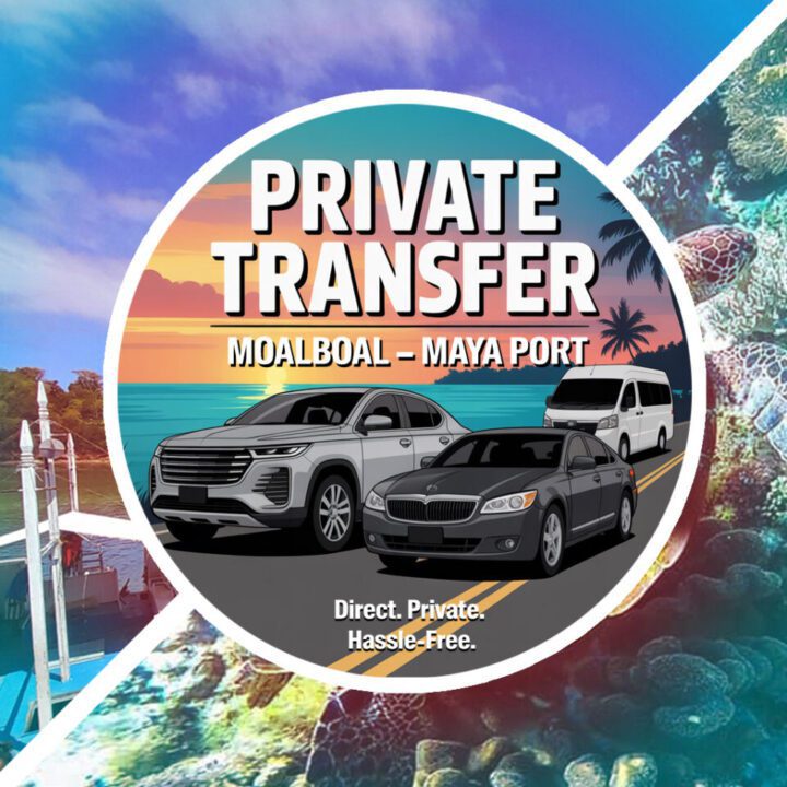 Private Transfer Moalboal to Maya Port