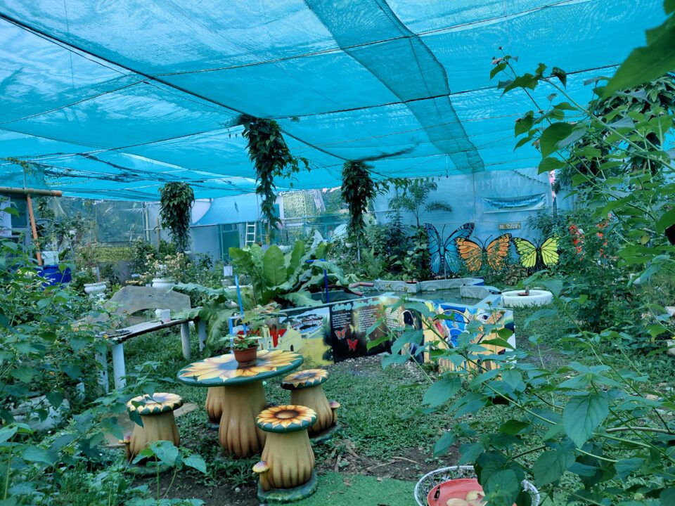 Butterfly Garden Bantayan Island