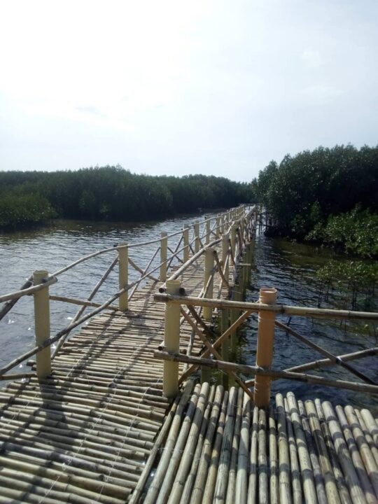 Mangrove Garden Bantayan Island (OMAGIECA)