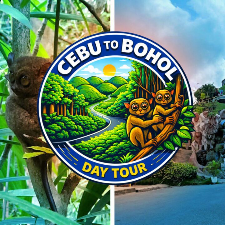 Bohol Day Tour from Cebu
